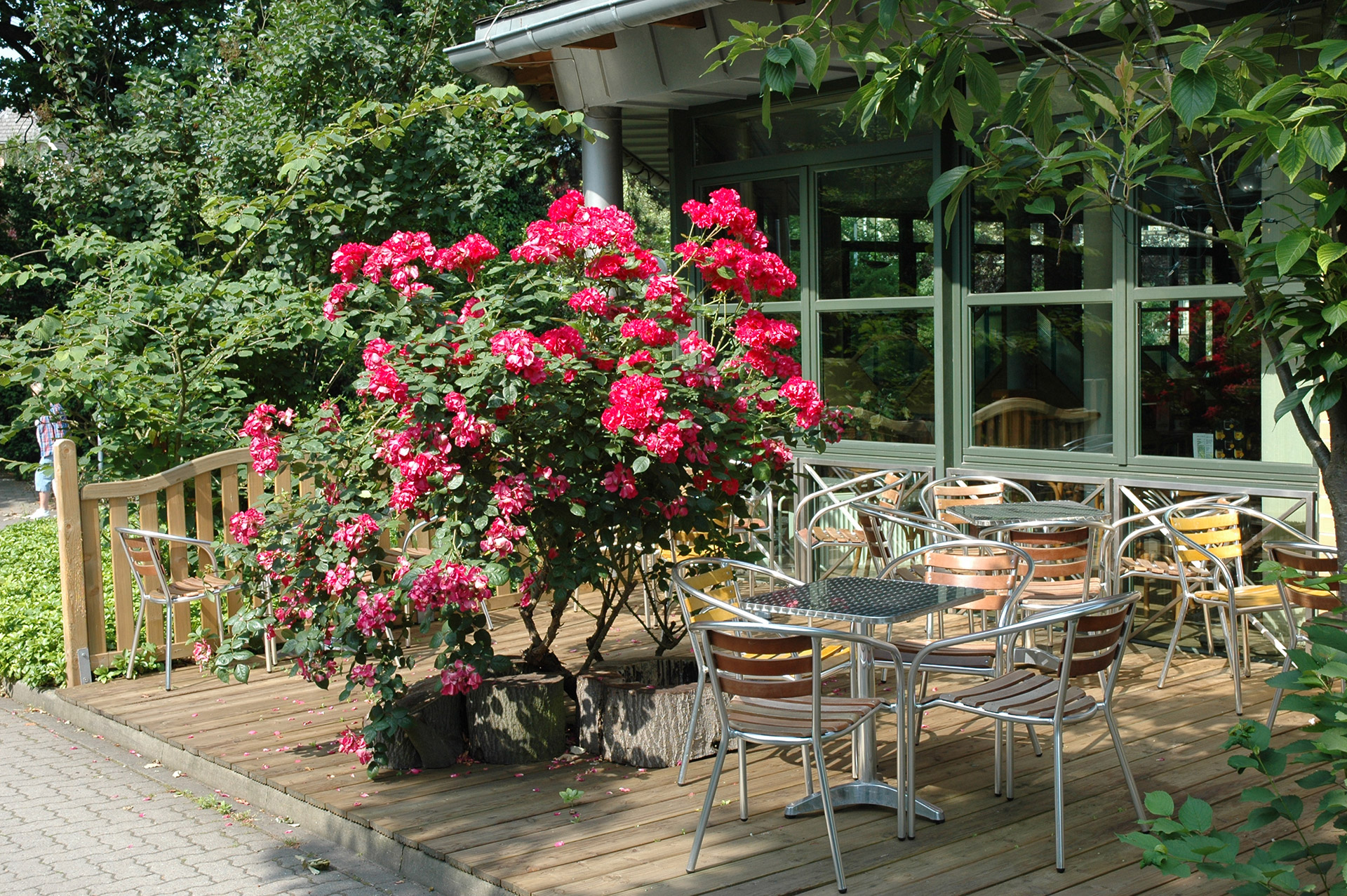 gemütlicher Biergarten Hotel Esplanade - Biergarten
